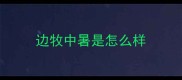 边牧中暑是怎么样