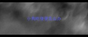小狗吃便便怎么办