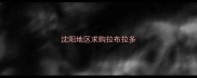沈阳地区求购拉布拉多