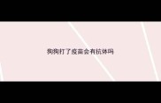 狗狗打了疫苗会有抗体吗