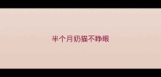 半个月奶猫不睁眼