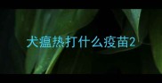 犬瘟热打什么疫苗