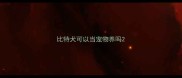 比特犬可以当宠物养吗