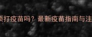 泰迪犬必须打疫苗吗最新疫苗指南与注意事项全