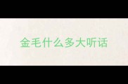 金毛什么多大听话