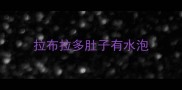 拉布拉多肚子有水泡