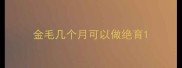 金毛几个月可以做绝育