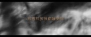 拉布拉多很能睡觉吗