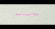 拉布拉多与金毛那个吃