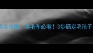 哈士奇剪毛全攻略换毛季必看3步搞定毛孩子的清爽造型
