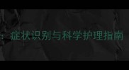 边牧真菌感染全攻略症状识别与科学护理指南附专业治疗步骤