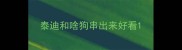 泰迪和啥狗串出来好看