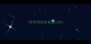 7岁拉布拉多老流口水
