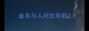 金毛与人对比年龄