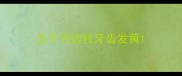 五个月边牧牙齿发黄