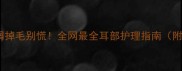狗狗耳朵皮屑掉毛别慌全网最全耳部护理指南附自检清单
