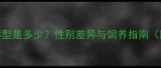 成年拉布拉多标准体型是多少性别差异与饲养指南附体重身高对照表