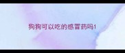狗狗可以吃的感冒药吗