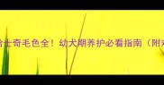 1个月大哈士奇毛色全幼犬期养护必看指南附对比图