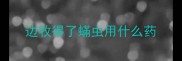 边牧得了蟎虫用什么药