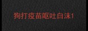 狗打疫苗呕吐白沫