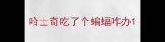 哈士奇吃了个蝙蝠咋办