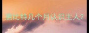 惠比特几个月认识主人