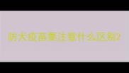 防犬疫苗要注意什么区别