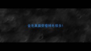 金毛真菌变瘦掉毛很多