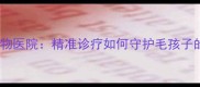 核磁共振宠物医院精准诊疗如何守护毛孩子的生命质量