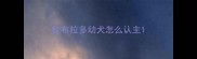 拉布拉多幼犬怎么认主