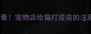 在家养猫必看宠物店给猫打疫苗的注意事项