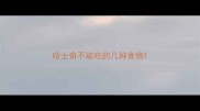 哈士奇不能吃的几种食物