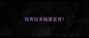 拉布拉多脑袋发育