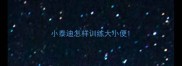 小泰迪怎样训练大小便