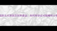 哈士奇嘴巴短短的五大原因及饲养建议如何科学应对短嘴哈士奇的健康问题