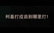柯基打疫苗到哪里打