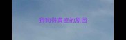 狗狗得黄疸的原因