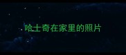哈士奇在家里的照片