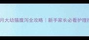 两个月大幼猫腹泻全攻略新手家长必看护理指南