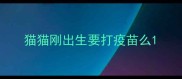 猫猫刚出生要打疫苗么