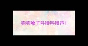 狗狗嗓子呼哧呼哧声