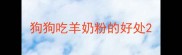 狗狗吃羊奶粉的好处