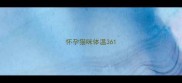 怀孕猫咪体温36