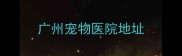 广州宠物医院地址
