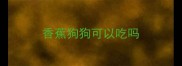 香蕉狗狗可以吃吗