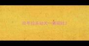 拉布拉多幼犬一直呕吐