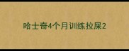 哈士奇4个月训练拉屎