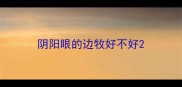 阴阳眼的边牧好不好