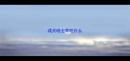成犬哈士奇吃什么